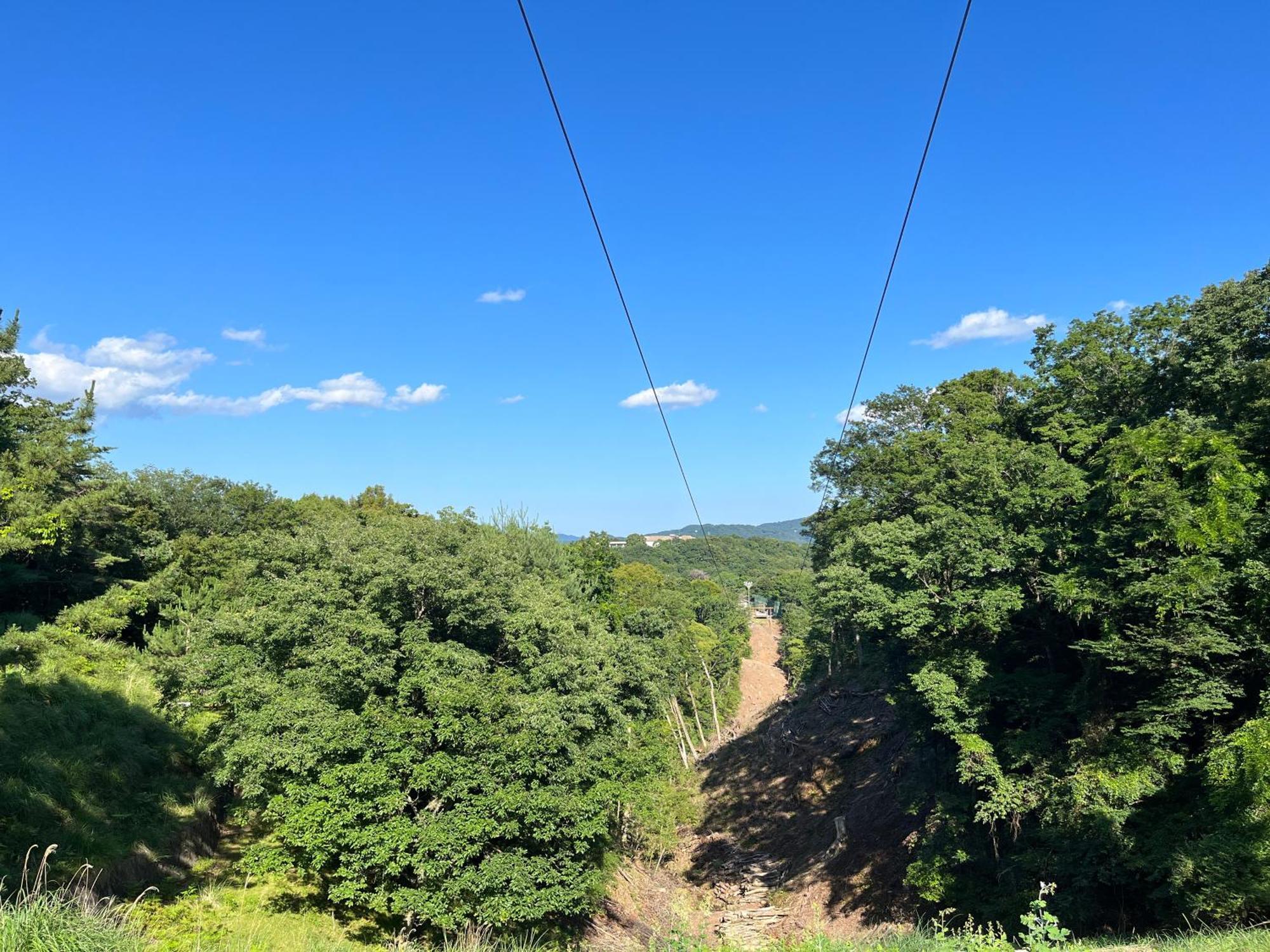 איזו Hotel Laforet Shuzenji מראה חיצוני תמונה