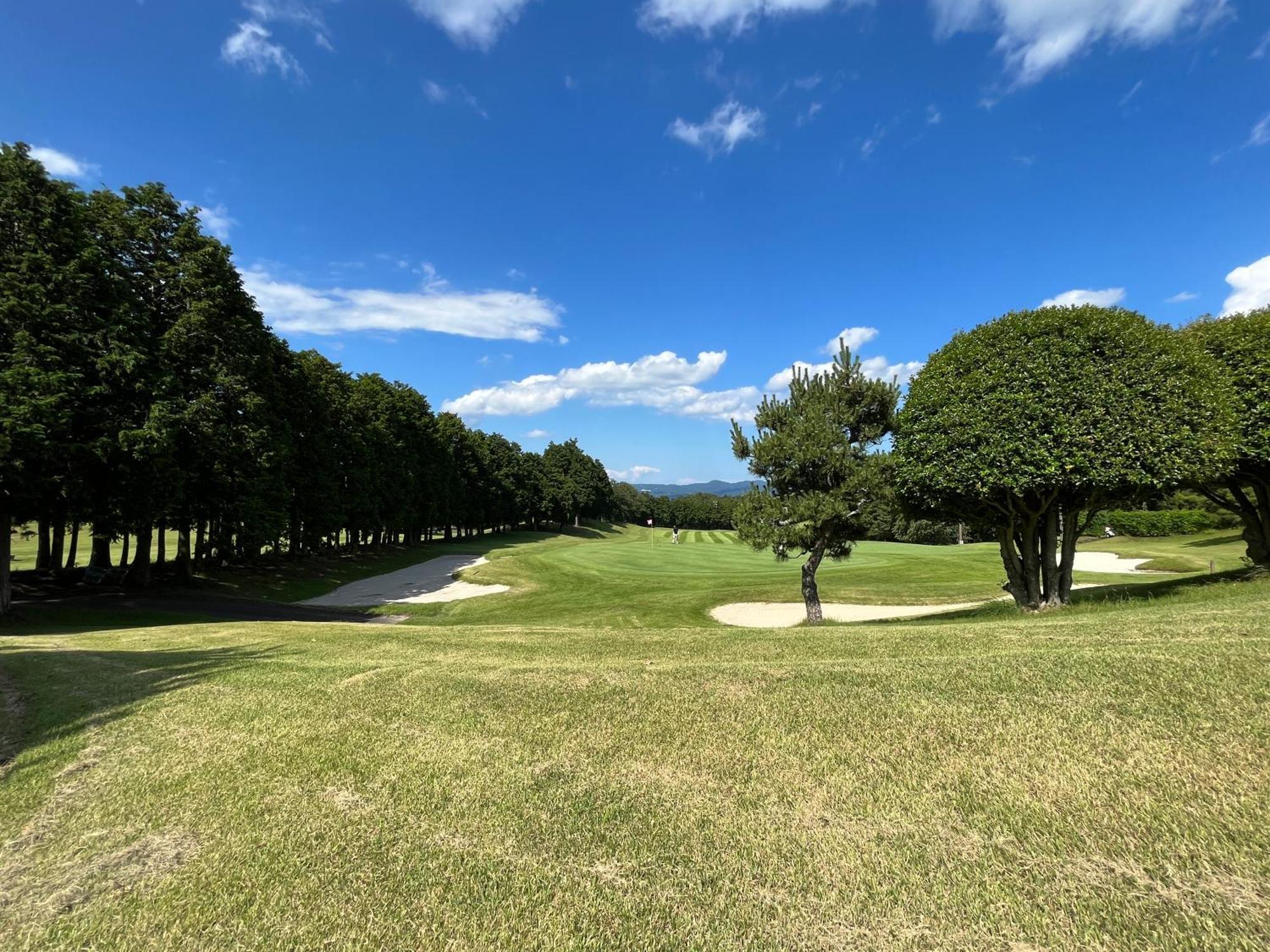 איזו Hotel Laforet Shuzenji מראה חיצוני תמונה