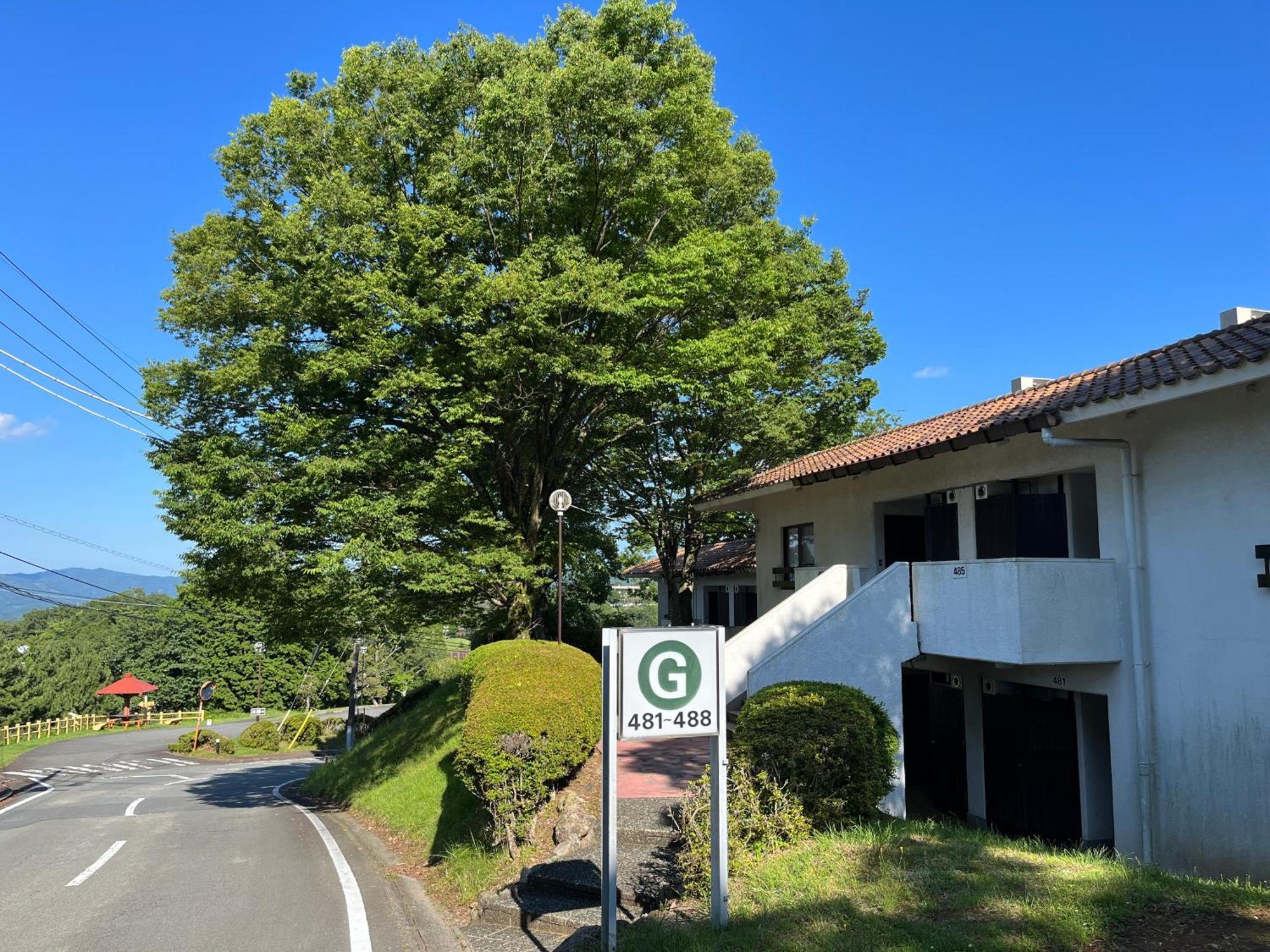 איזו Hotel Laforet Shuzenji מראה חיצוני תמונה